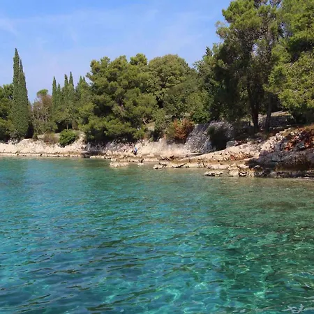 Apartment In Marsici/insel Krk 13109